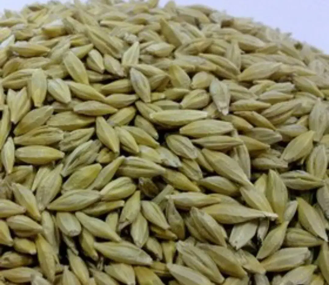 حمل بار سایپاکمپرسی|خدمات حمل و نقل|سقز, |دیوار