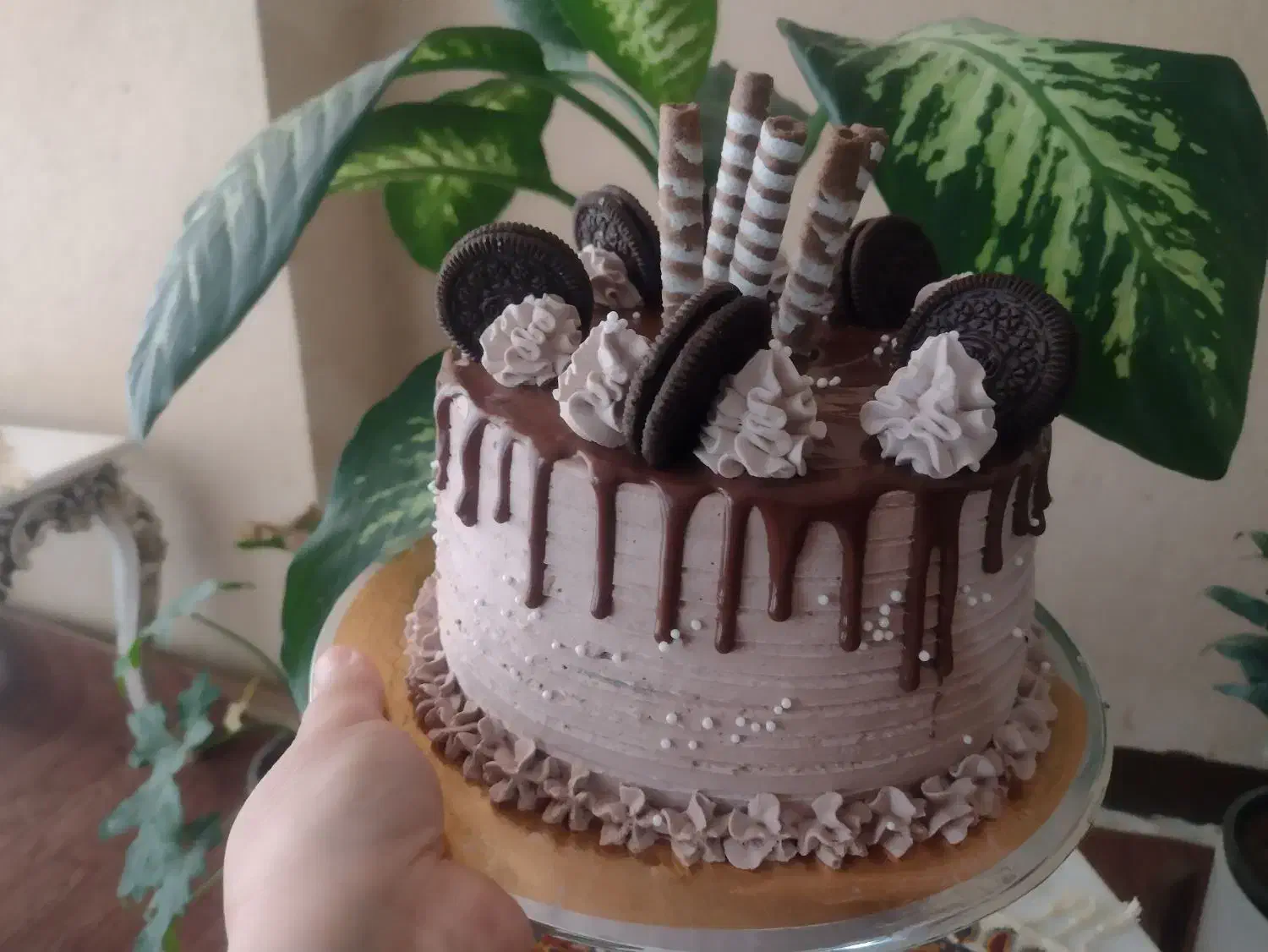 کیک تولد|خوردنی و آشامیدنی|شاهین‌شهر, شهرک سایت|دیوار