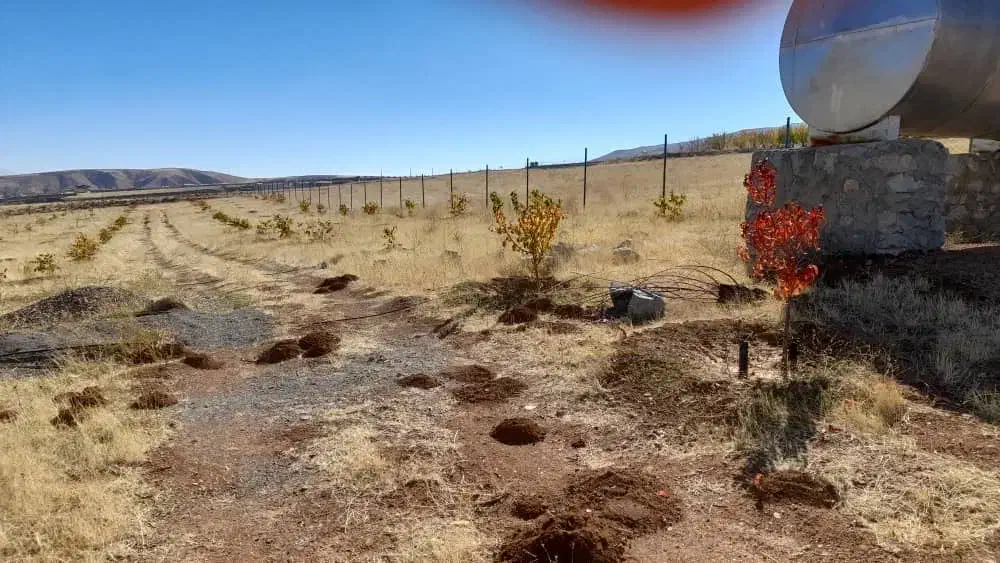 زمین ۳۵۰۰متر اراضی سیوان|فروش دفتر صنعتی، کشاورزی، تجاری|مرند, |دیوار