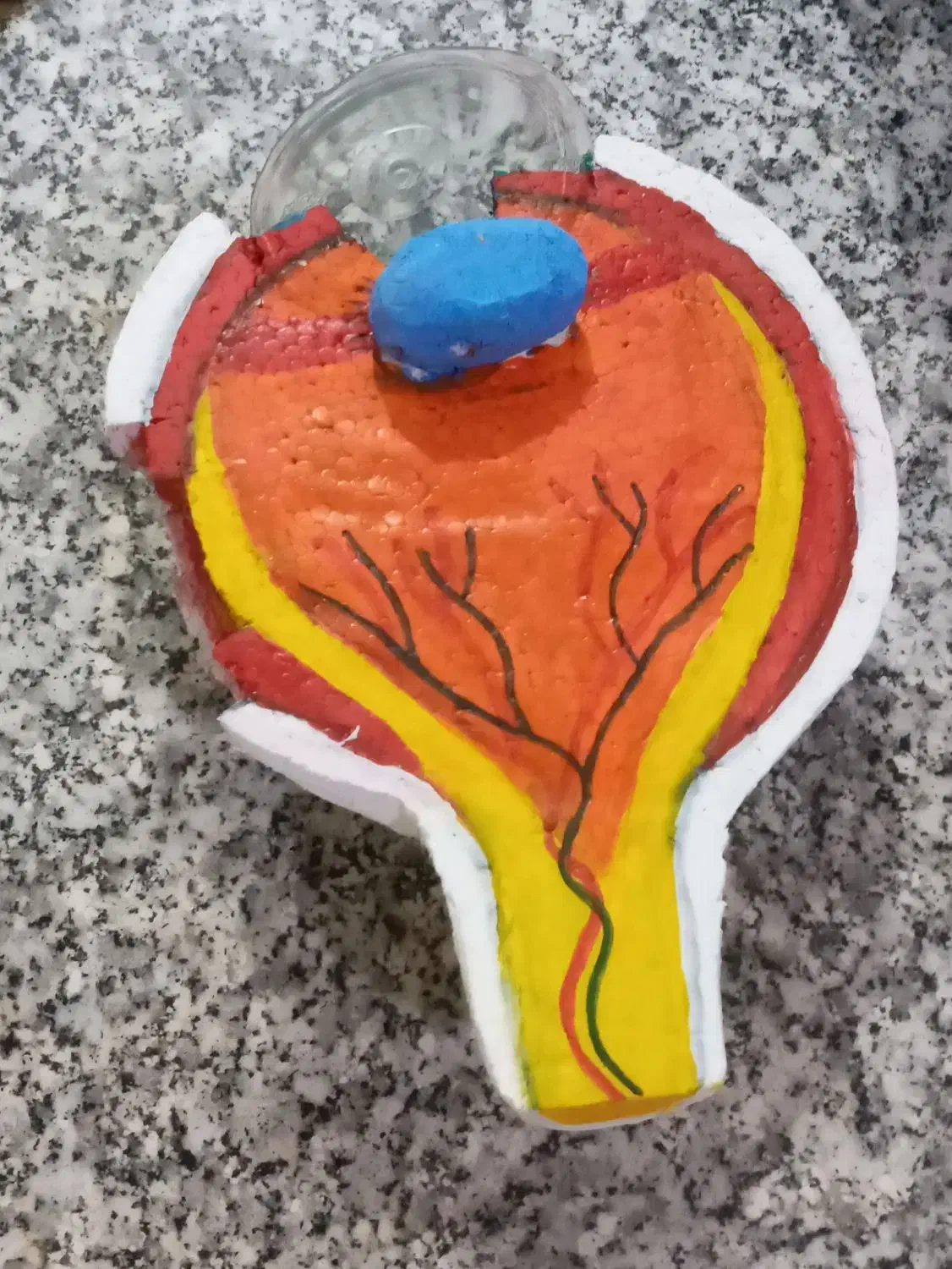 کاردستی|لوازم التحریر|بندر ماهشهر, |دیوار