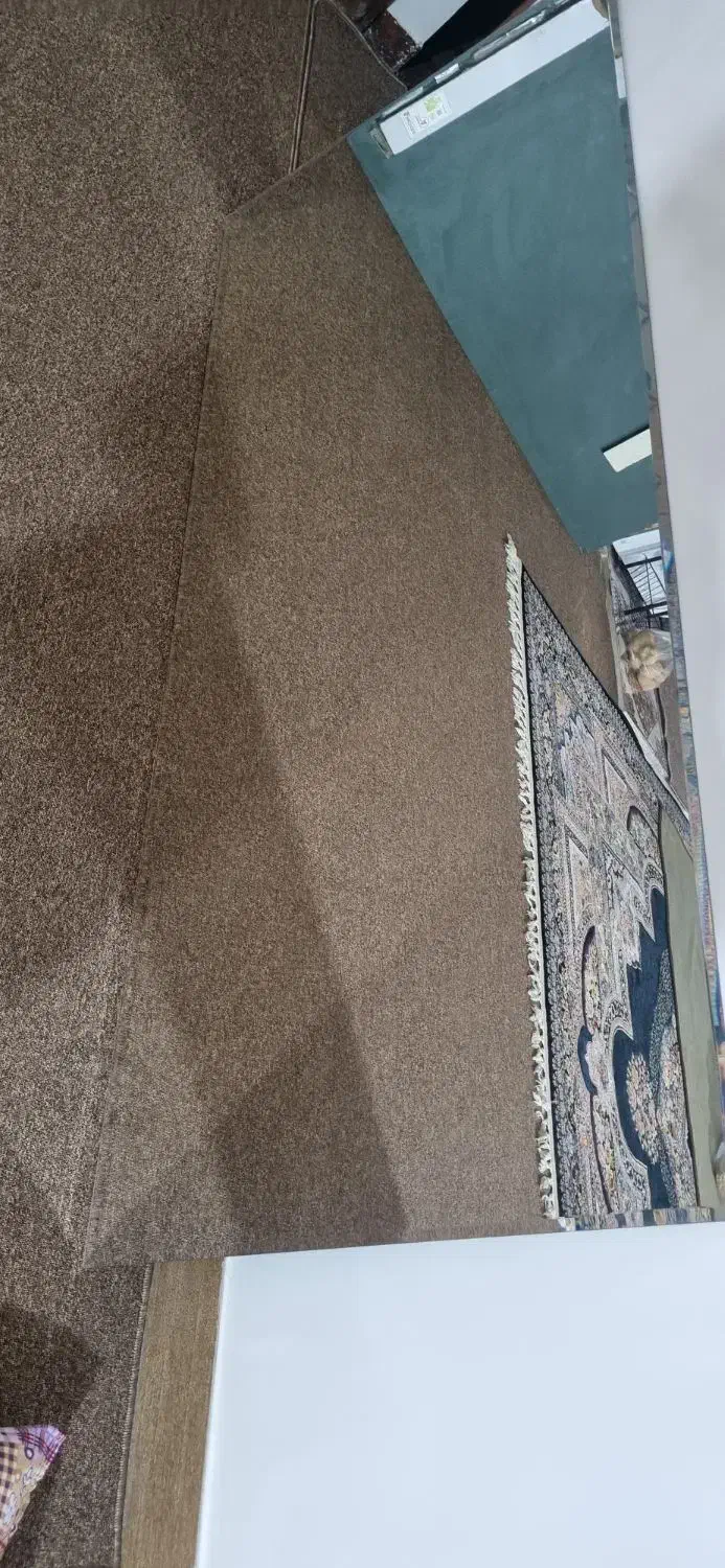 دوتا آینه سالنی نو نو لبه برجسته|آینه|شوشتر, |دیوار