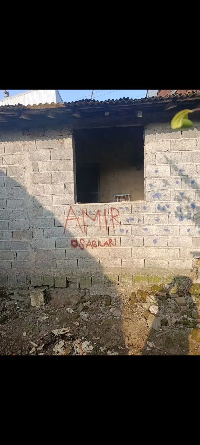 فروش مغازه و زمین|فروش زمین و ملک کلنگی|لاهیجان, بازکیاگوراب|دیوار