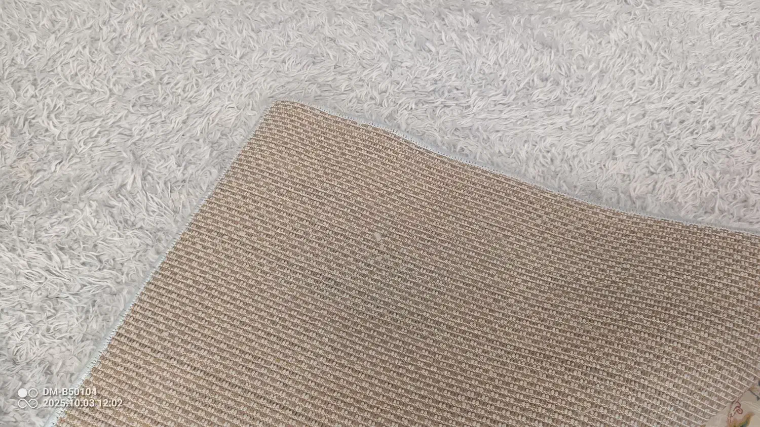 فرش پرزدار|فرش|کرمانشاه, |دیوار