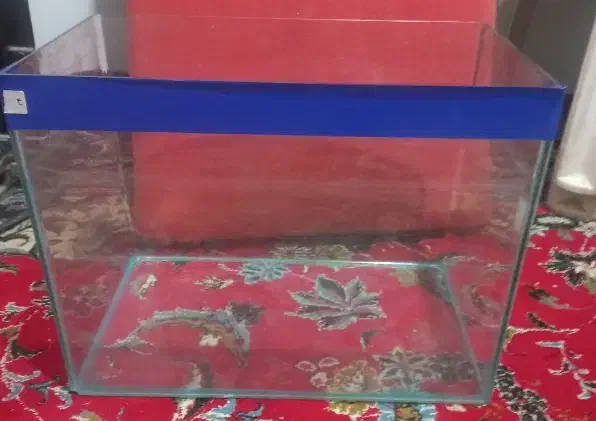 آکواریوم|ماهی|بجنورد, |دیوار