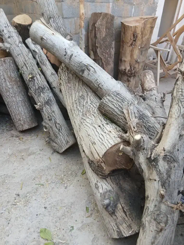 چوب های خشک و تر در هر شهر اصفهان|خدمات باغبانی و درختکاری|اصفهان, کشاورزی|دیوار