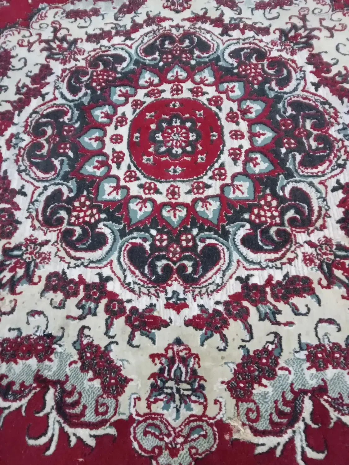 فرش ۱۲متری|فرش|قائم‌شهر, |دیوار