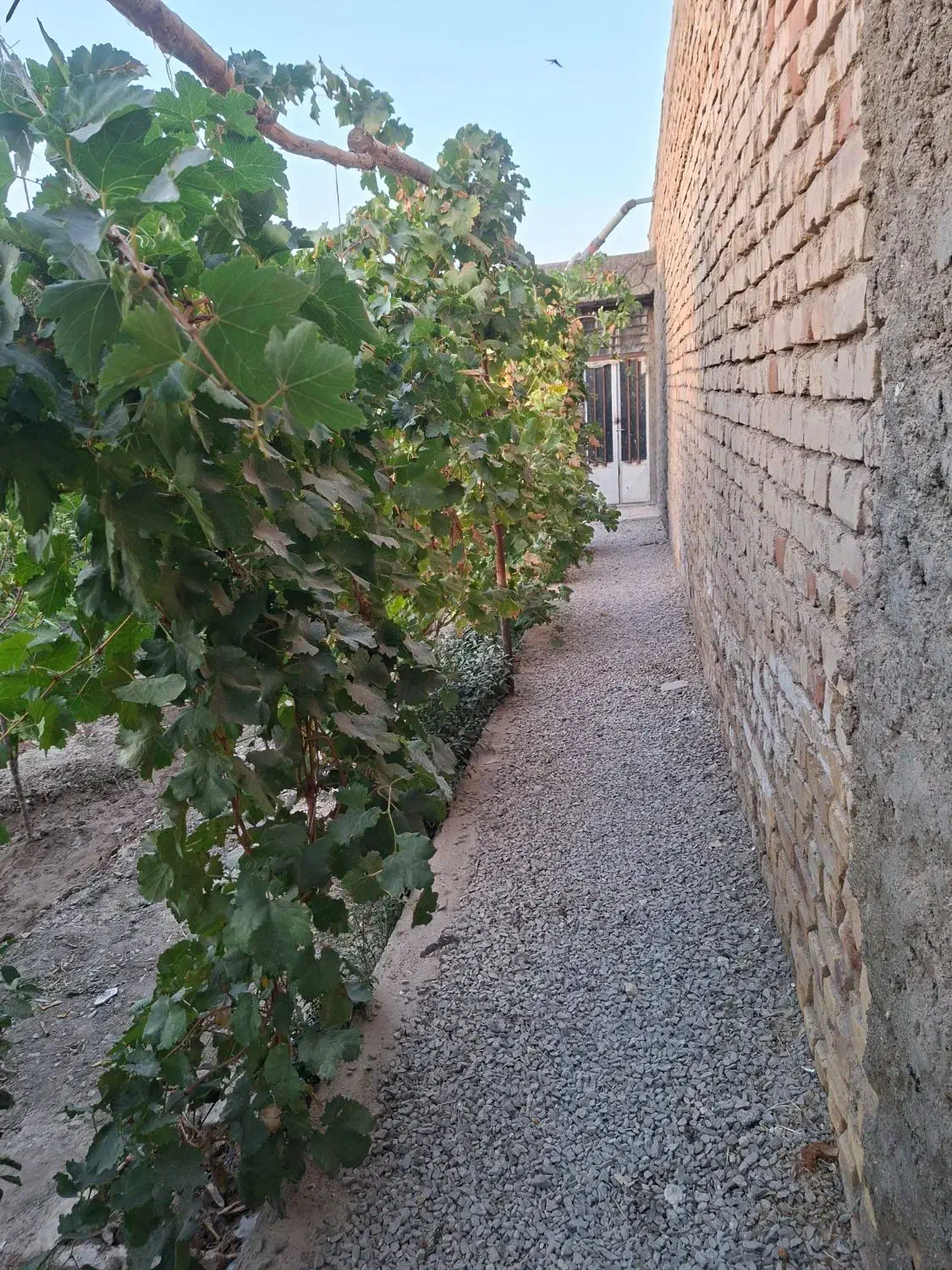 نیازمند هم خانه .|اجارهٔ خانه و ویلا|اصفهان, دانشگاه اصفهان|دیوار