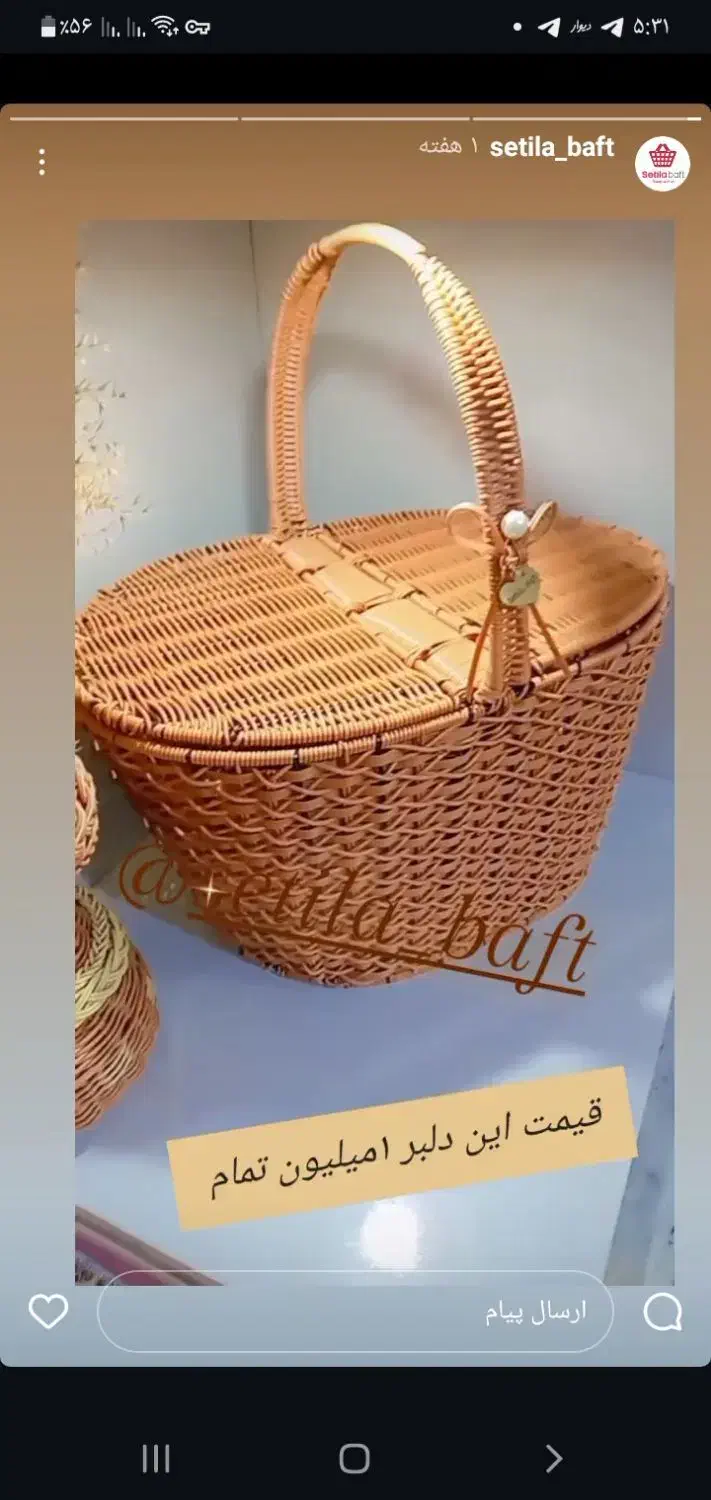 سبد پیک نیک|صنایع دستی و سایر لوازم تزئینی|مریوان, |دیوار