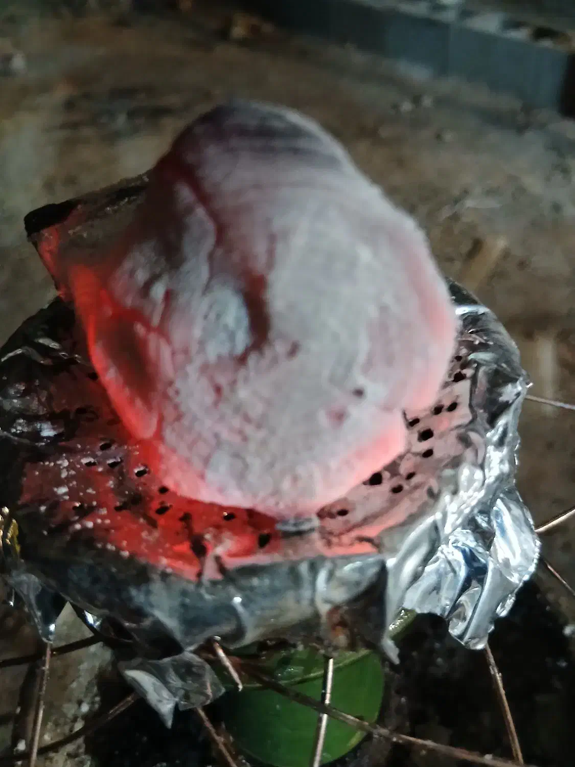 زغال لیمو|کلکسیون و سرگرمی|لنجان, |دیوار