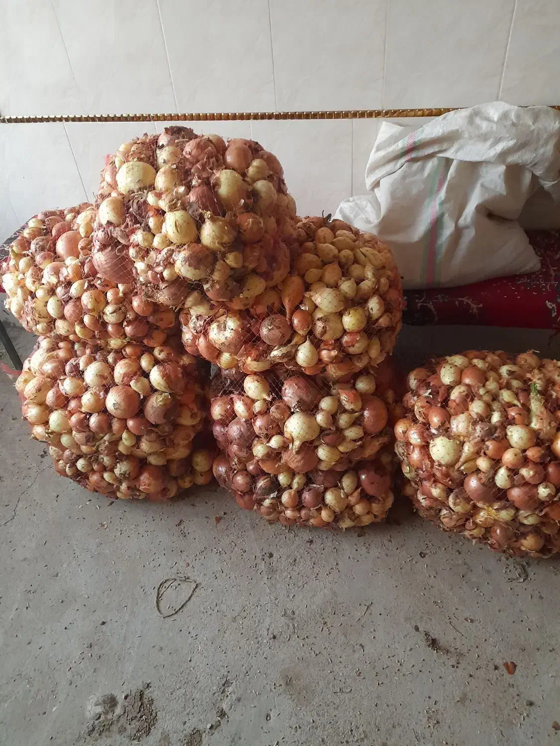 پیاز ترد و تازه|خوردنی و آشامیدنی|نهاوند, |دیوار