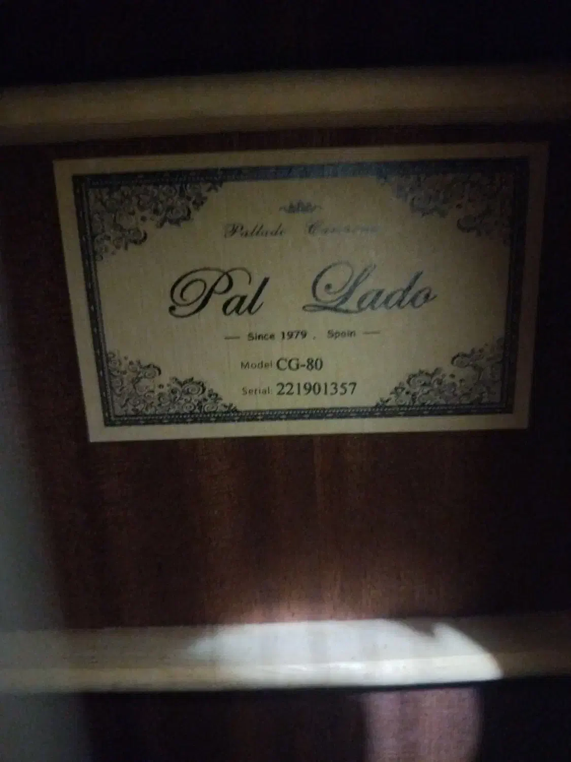 گیتار Pallado اصل اسپانیایی|گیتار، بیس، امپلیفایر|قزوین, |دیوار