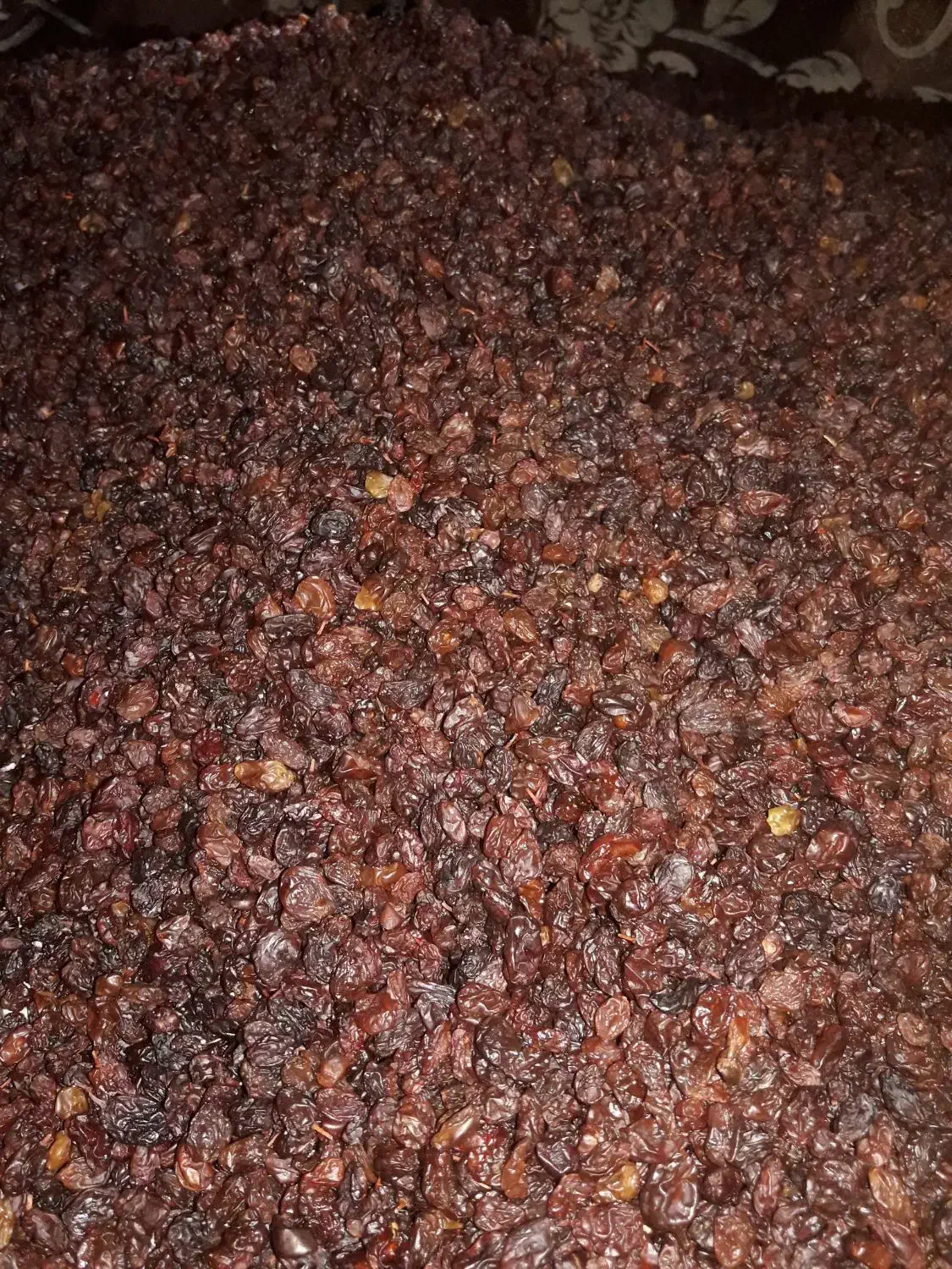 قیصی زردآلوکشمش شیره انگور دوشاب|خوردنی و آشامیدنی|مشگین شهر, |دیوار