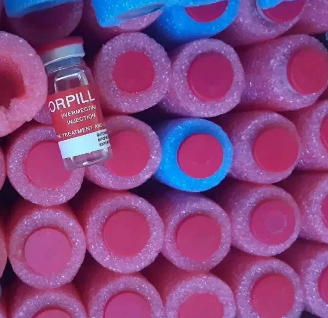 دارو ضد شپش ورشک آلمانی|آرایشی، بهداشتی، درمانی|برازجان, |دیوار