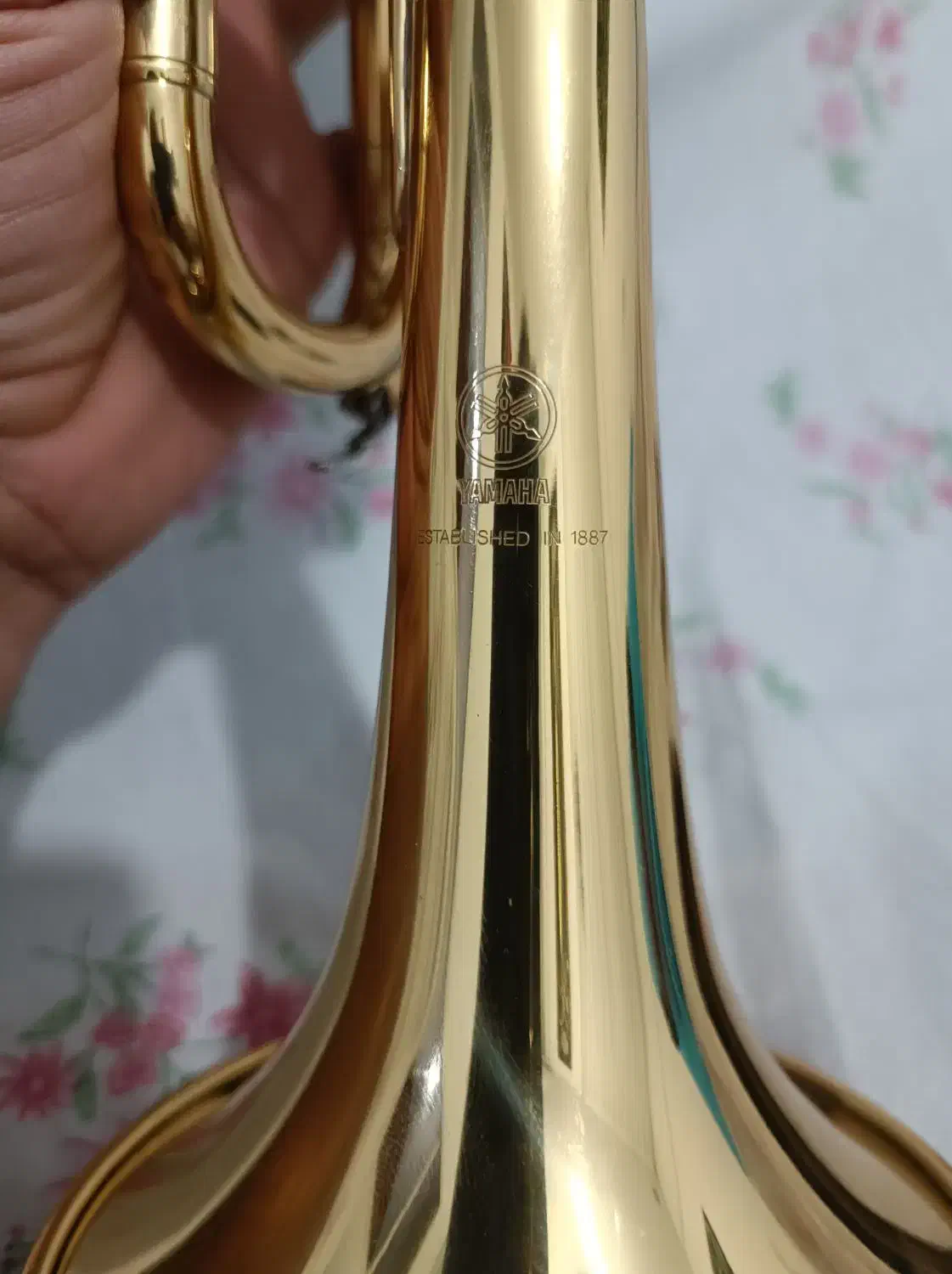 ترومپت یاماها|سازهای بادی|اصفهان, شفق|دیوار