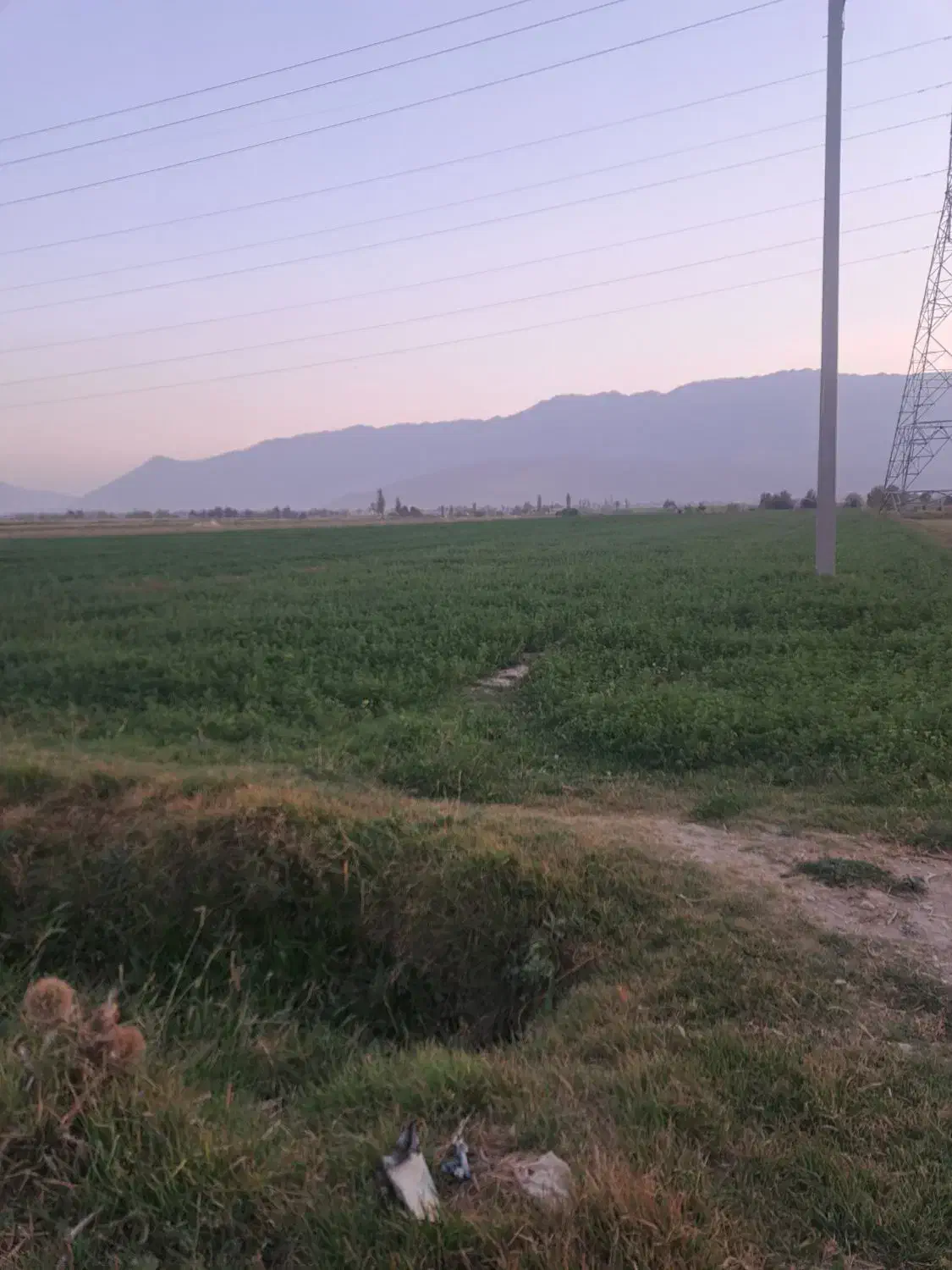 زمین فروشی مناسب باغ|فروش زمین و ملک کلنگی|زالیان, |دیوار