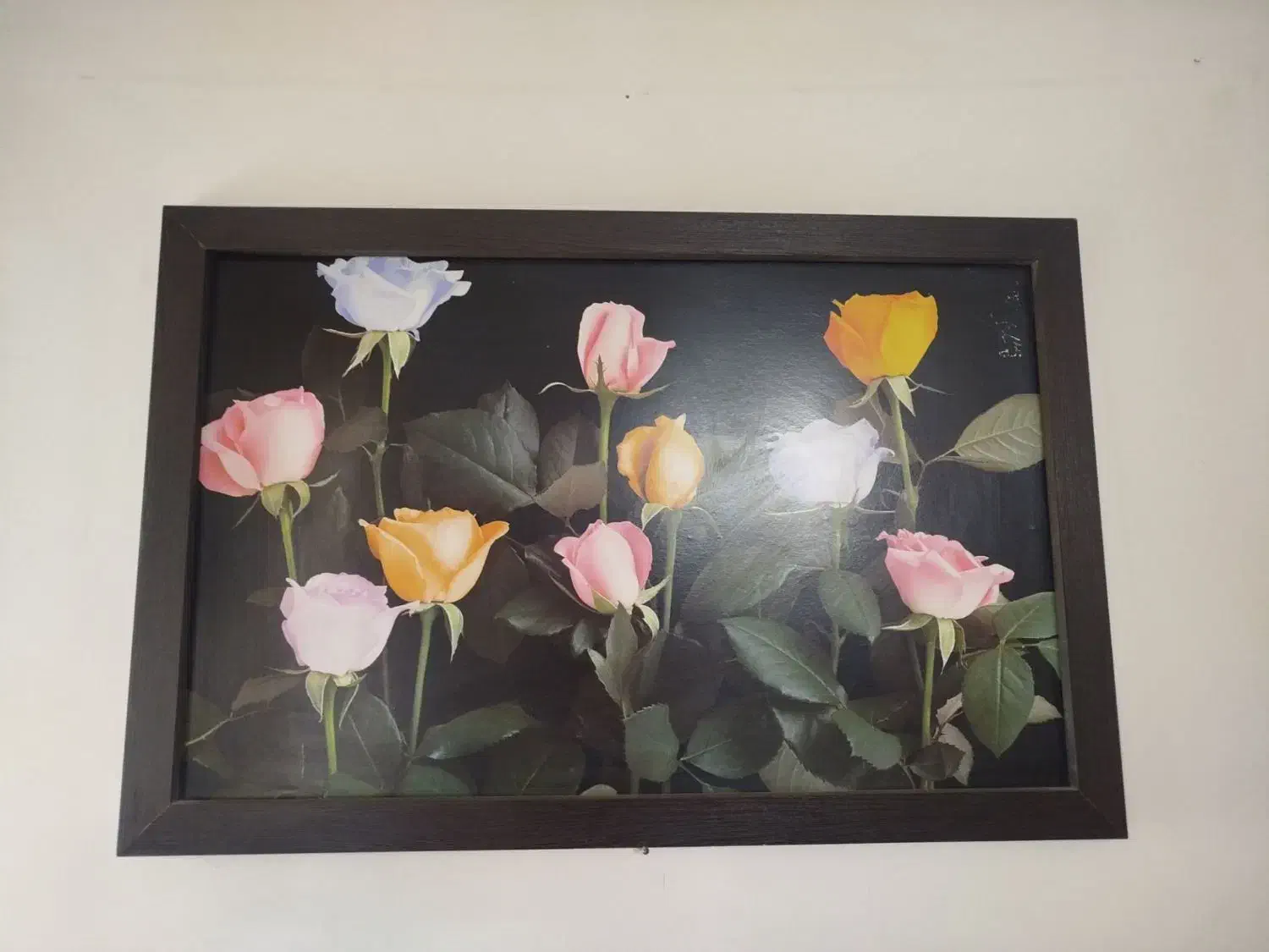 تابلو|تابلو، نقاشی، عکس|زاهدان, |دیوار