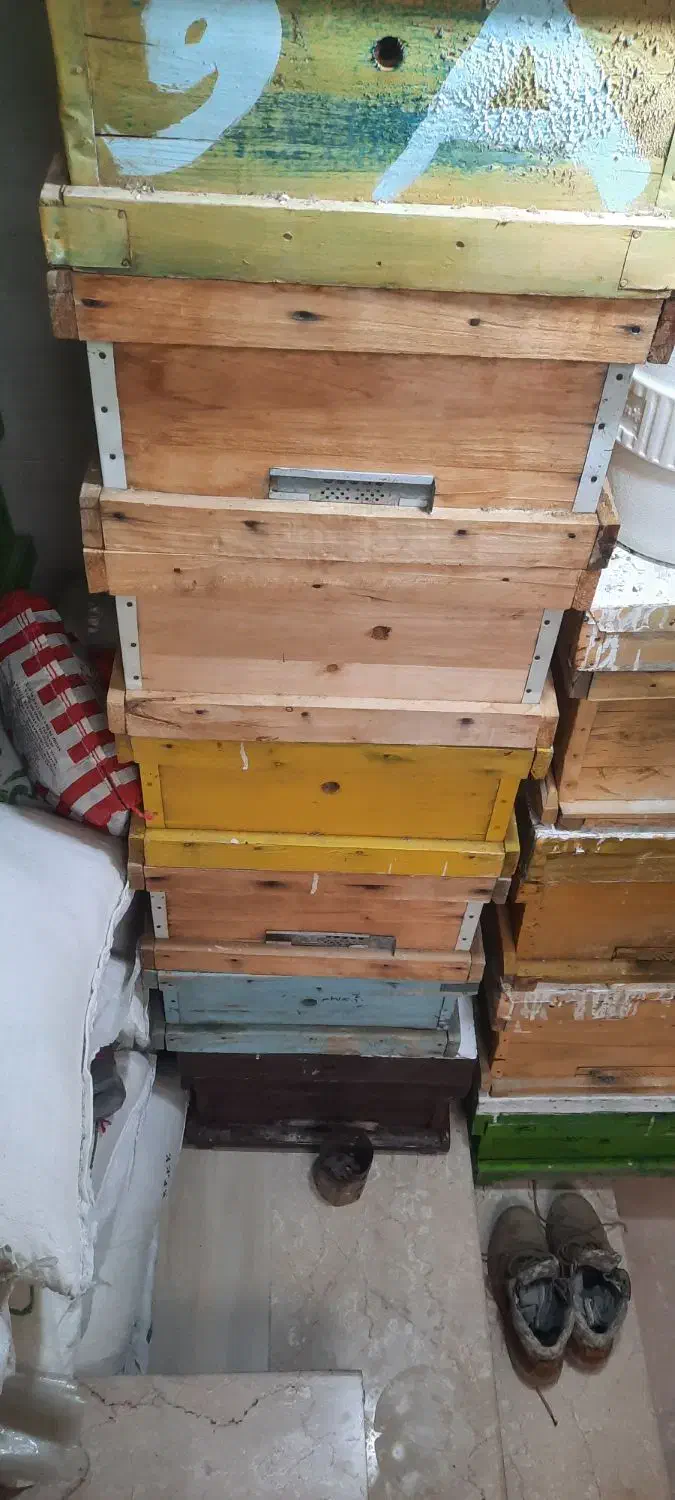 کندو عسل طبق|لوازم جانبی حیوانات|دوگنبدان, |دیوار