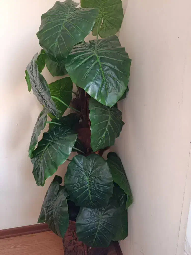 وسایل منزل|تشک تختخواب|کرمانشاه, |دیوار