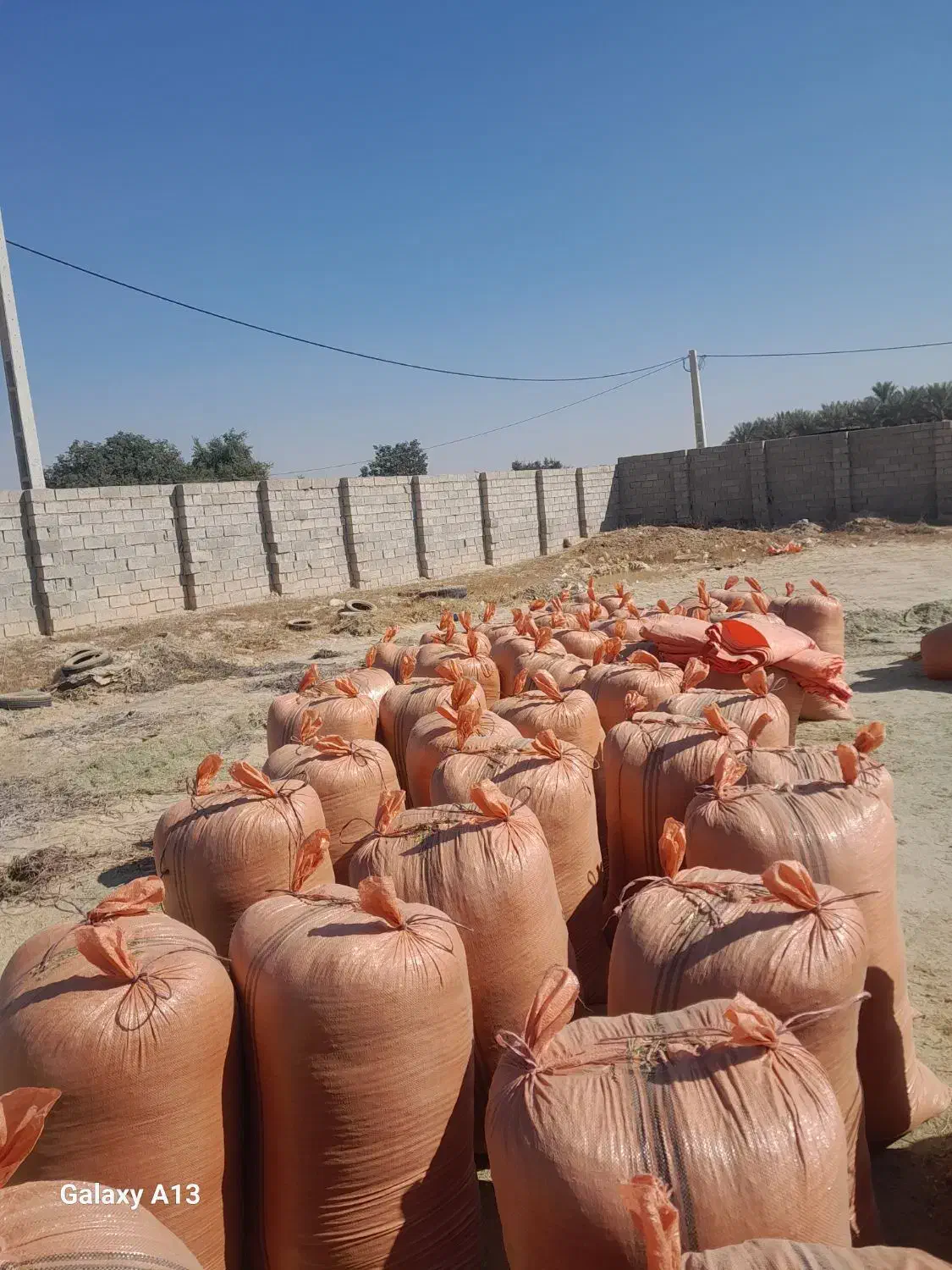 یونجه خرمنکوب|خدمات باغبانی و درختکاری|بهبهان, |دیوار