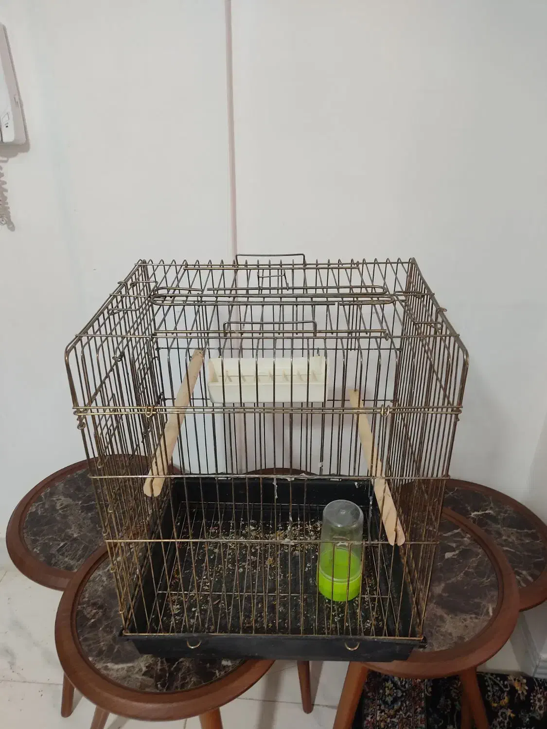 قفس پرنده بزرگ|لوازم جانبی حیوانات|شیراز, کوشک میدان|دیوار