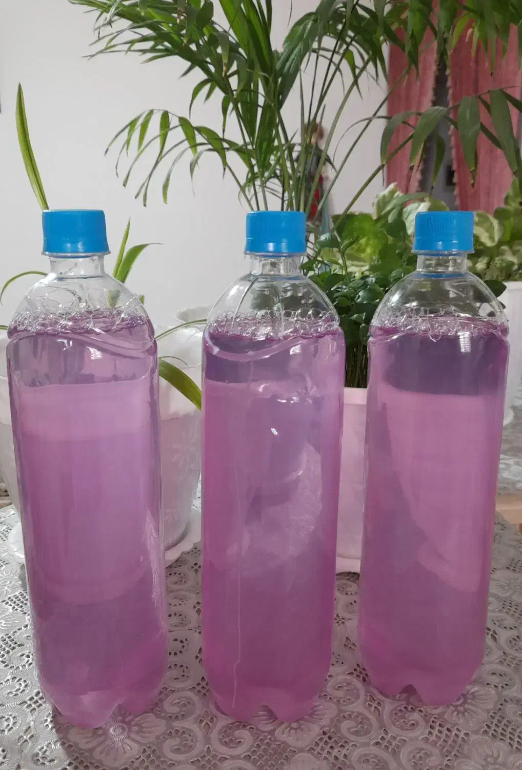 مایع از بین برنده لک|مواد شوینده و دستمال کاغذی|شاهرود, |دیوار