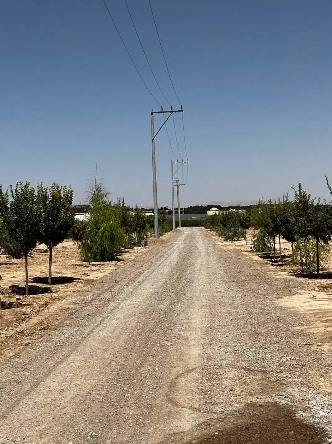 زمین کشاورزی|فروش زمین و ملک کلنگی|حبیب آباد, |دیوار