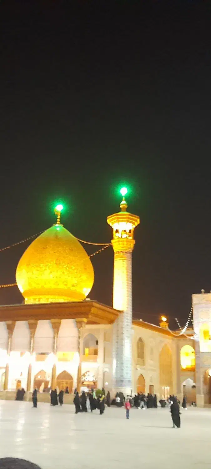 گمشده|اشیا|شیراز, کفترک|دیوار