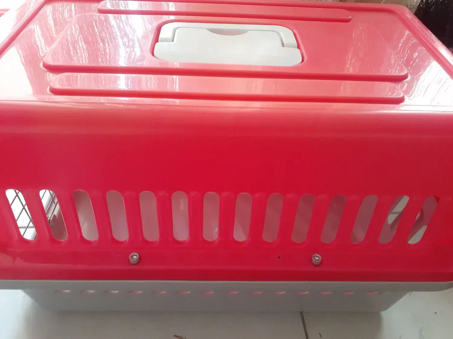 لوازم باکس و سینی حیوانات خانگی|لوازم جانبی حیوانات|صدرا-فارس, فاز ۱|دیوار