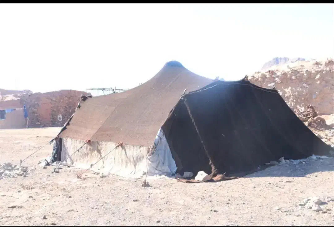 گدان و پلاس|گلیم، جاجیم، گبه|زاهدان, |دیوار