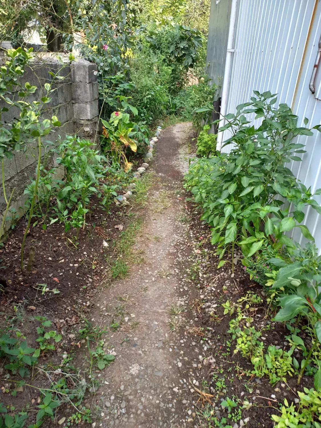 اجاره روزانه/هفتگی/ماهانه آپارتمان ۶۵ متری|اجارهٔ کوتاه‌مدت آپارتمان و سوئیت|پره‌سر, |دیوار