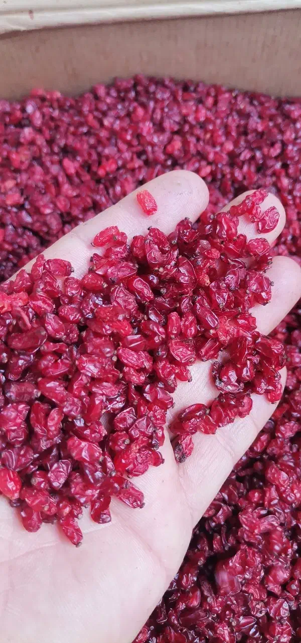 زرشک،آب زرشک و زعفران پدربزرگ|عمدهفروشی|مشهد, شیرودی|دیوار