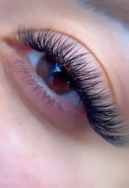 کاشت مژه بدون چرخش و ریزش ۴۰ روز ماندگاری|خدمات آرایشگری و زیبایی|تبریز, |دیوار