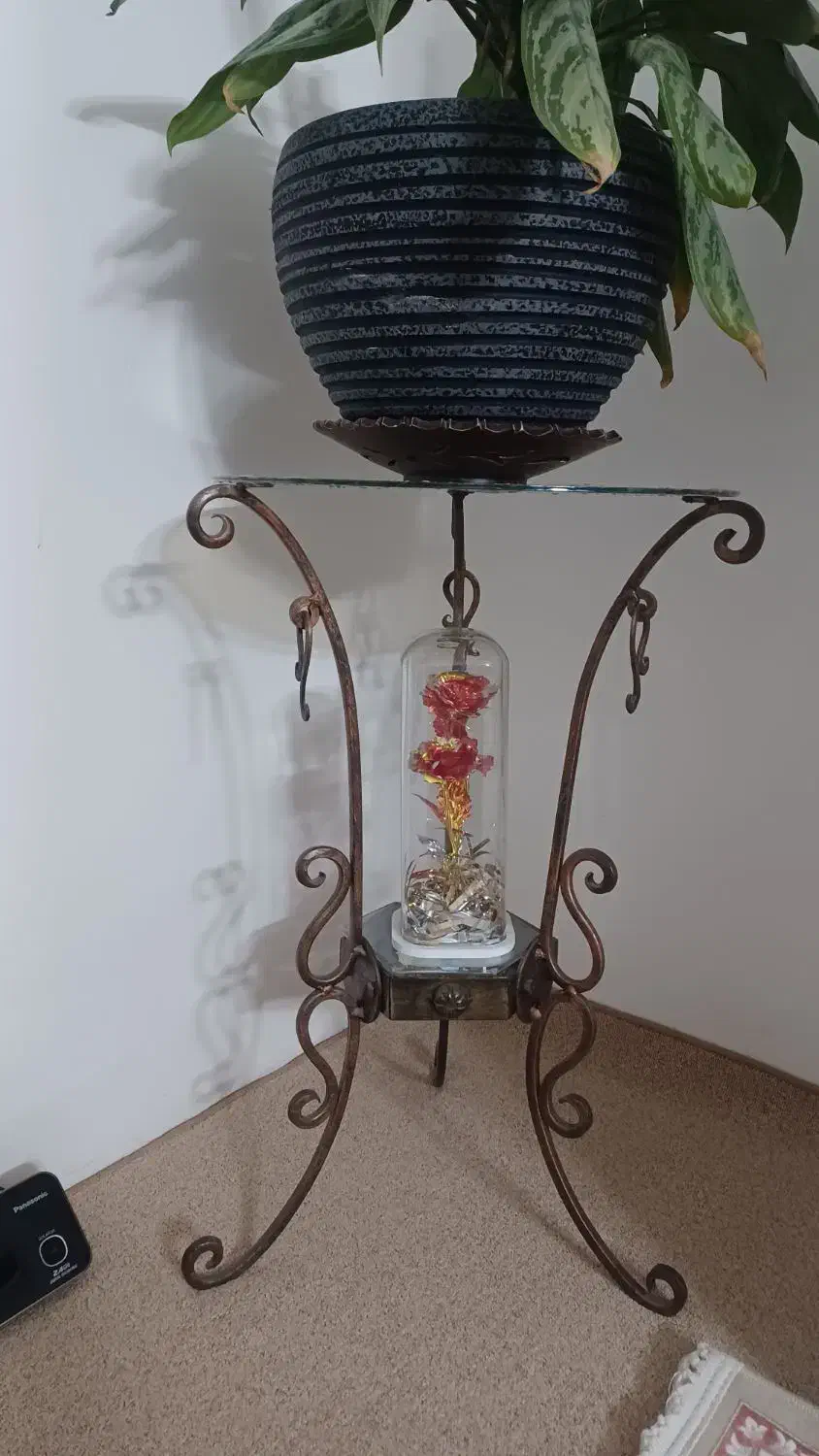 گلدان و پایه|گل و گیاه طبیعی|قم, بنیاد|دیوار