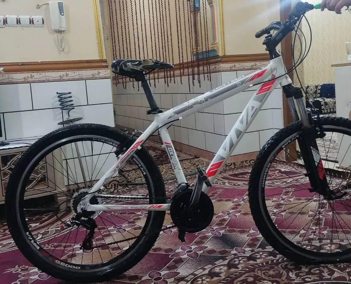 دوچرخه ویوا اکسیژن|دوچرخه، اسکیت، اسکوتر|سوسنگرد, |دیوار