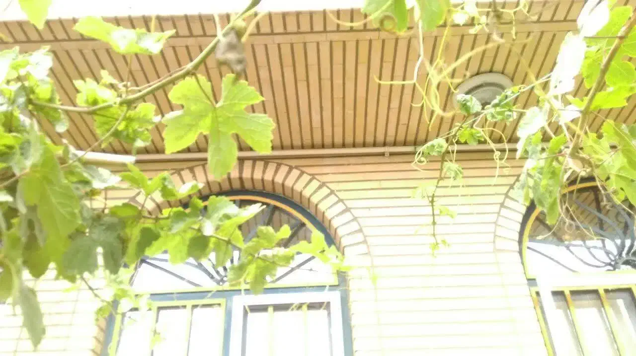 رهن و اجاره منزل ویلایی در طایقان|اجارهٔ خانه و ویلا|سلفچگان, |دیوار