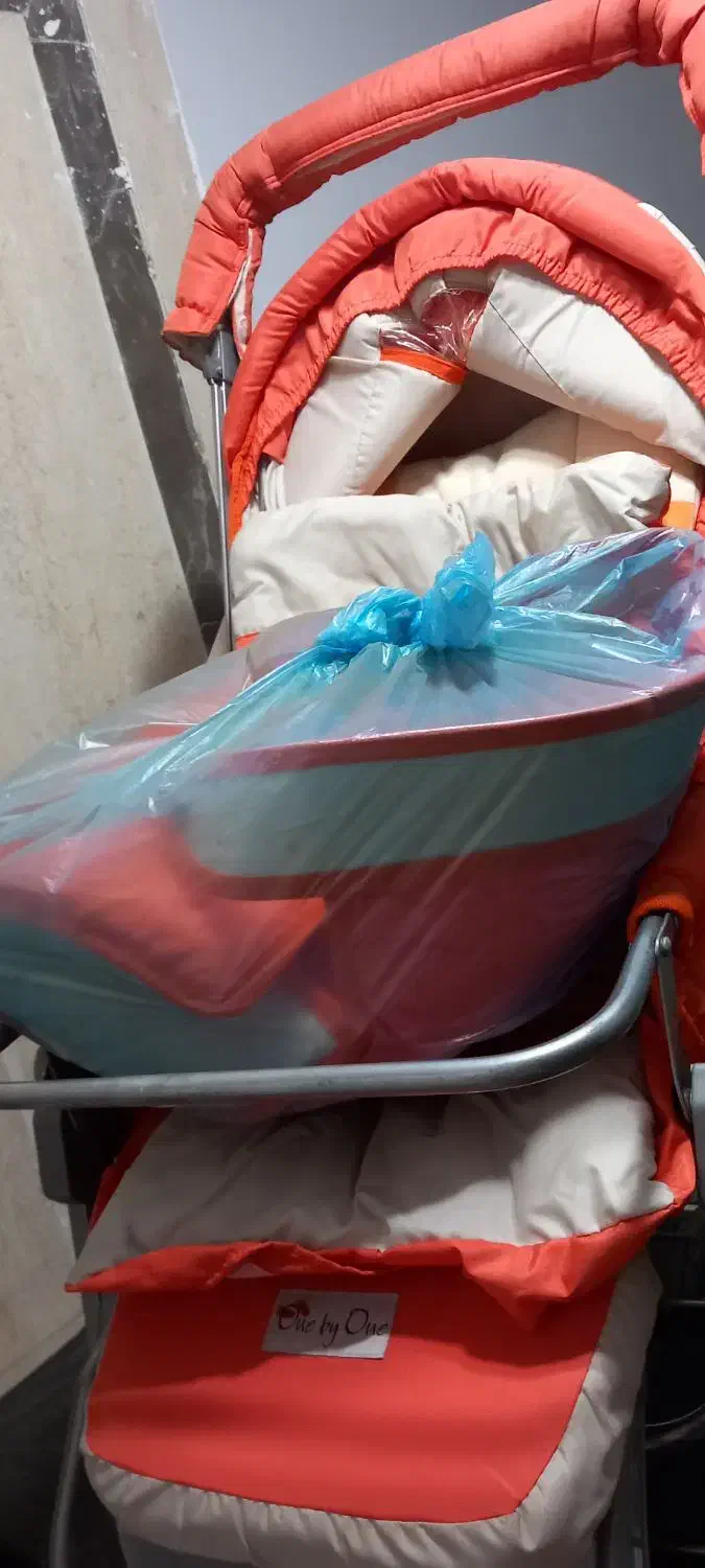 کالسگه دلیجان در حد نو|کالسکه و لوازم جانبی|تهران, افسریه جنوبی|دیوار