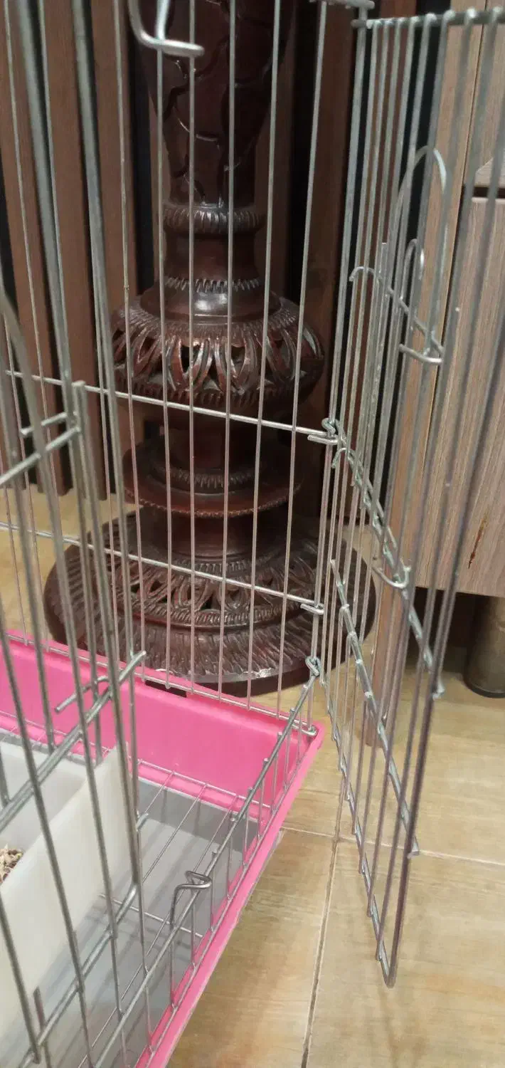 قفس نو وضخیم|لوازم جانبی حیوانات|زنجان, |دیوار