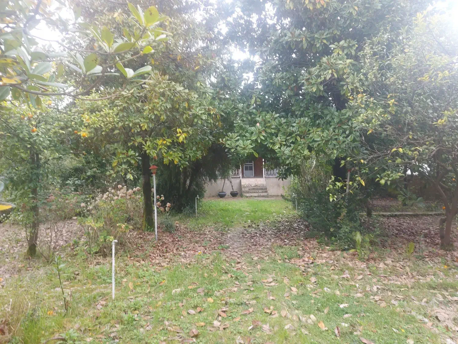 نوشهر محدوده چلندر ۹۵۰متر ویلاباغ باسند|فروش خانه و ویلا|نوشهر, |دیوار