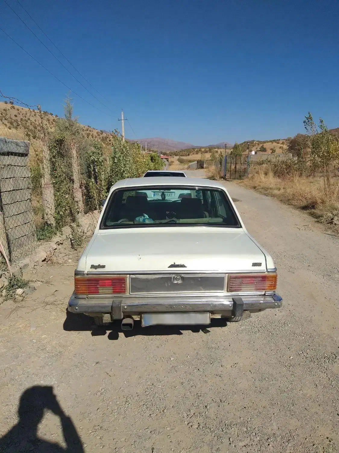 پیکان مدل ۸۱|خودرو سواری و وانت|خاو و میرآباد, |دیوار