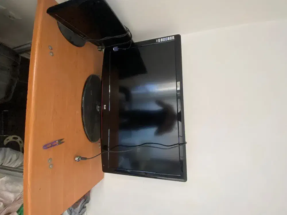 تلویزیون|تلویزیون و پروژکتور|گلبهار, شهر جدید گلبهار|دیوار