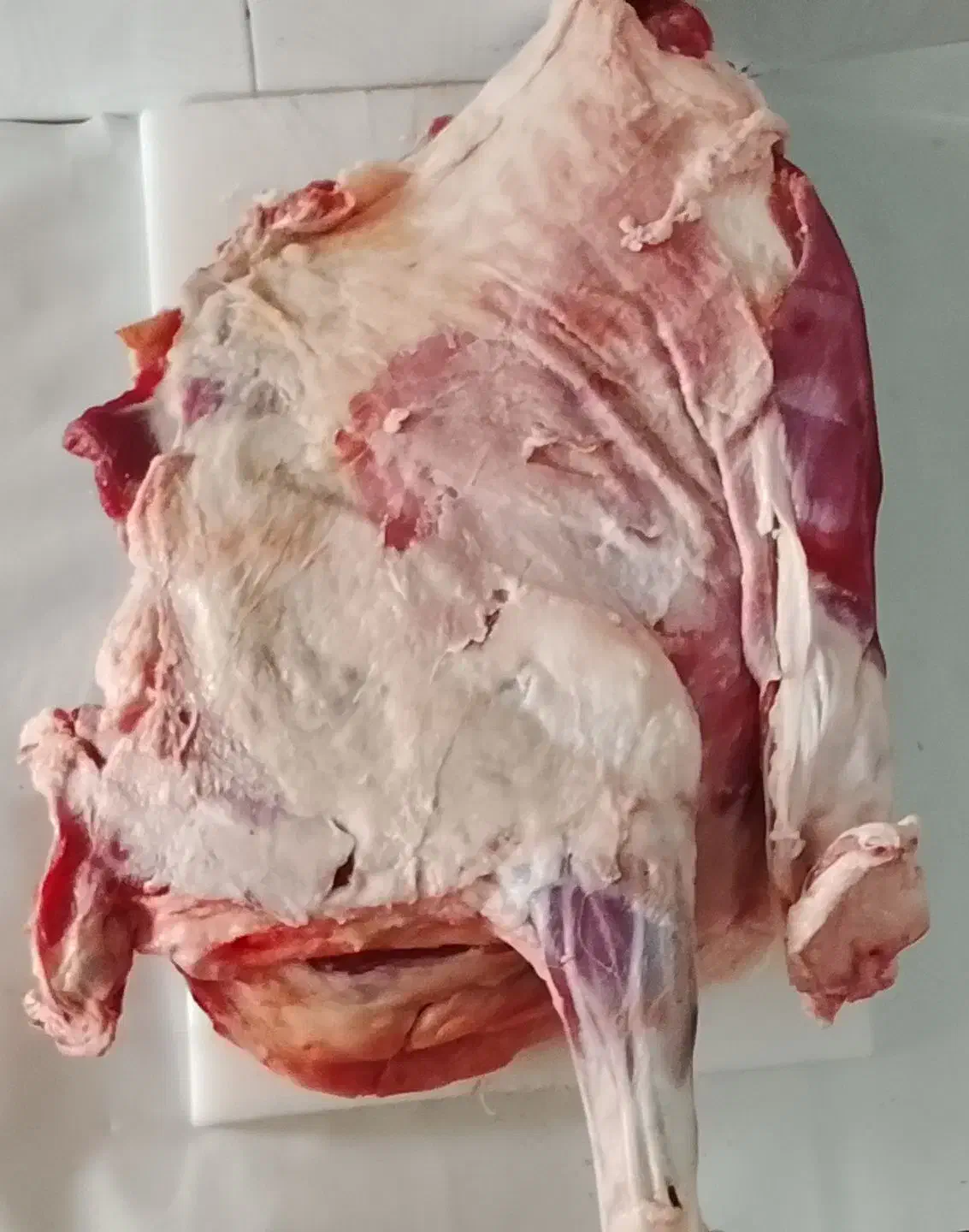 قصابی|خوردنی و آشامیدنی|تربتحیدریه, پائین ولایت|دیوار