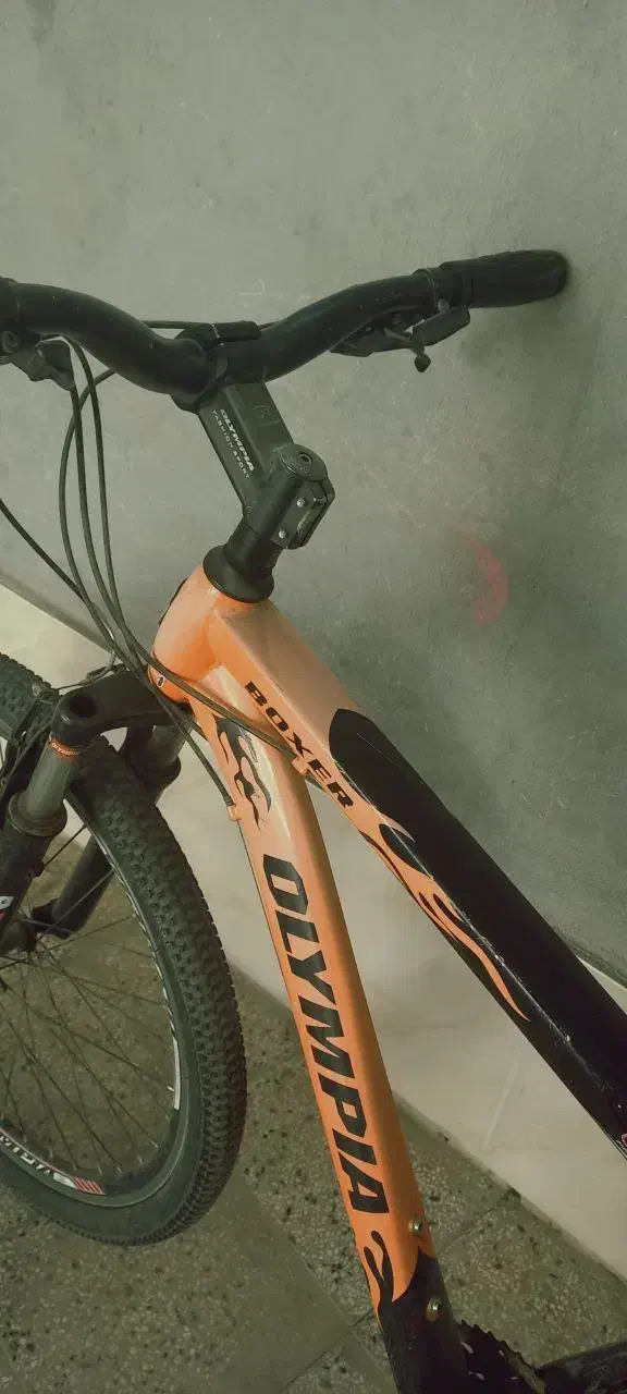 دوچرخه|دوچرخه، اسکیت، اسکوتر|بجنورد, |دیوار