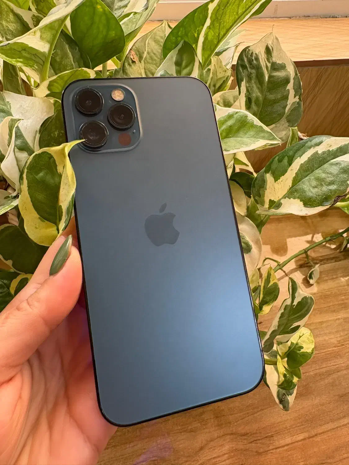 ایفون ۱۲پرو|موبایل|لنگرود, |دیوار