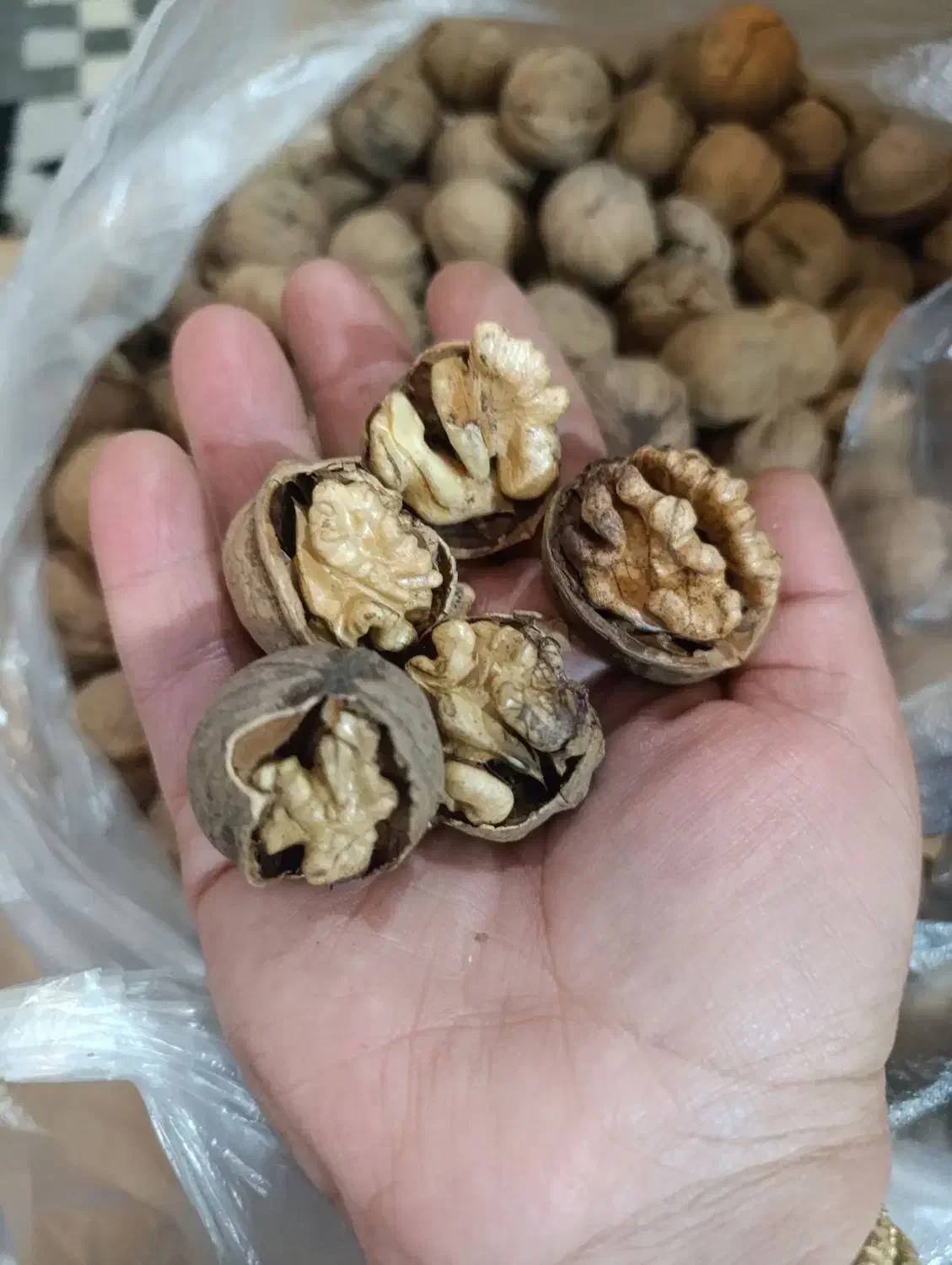 گردو|خوردنی و آشامیدنی|محلات, |دیوار