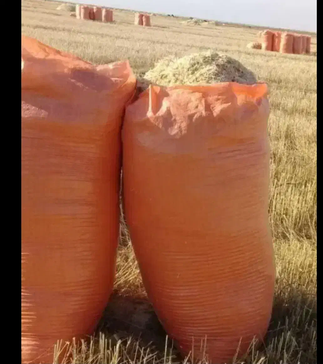 کاه گندم لوکس سر خوشه دیم گونی شده درجه یک همدان|حیوانات مزرعه|اصفهان, جلالیه|دیوار