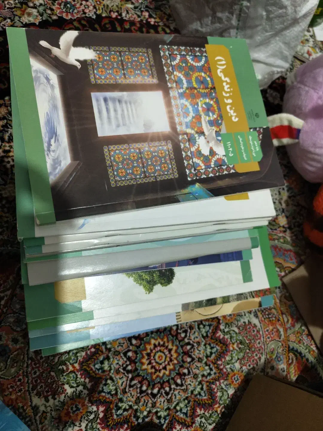 کتاب کلاس دهم انسانی|کتاب و مجله آموزشی|قلعه نو, |دیوار