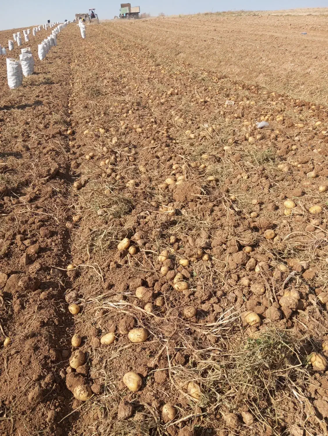 وام|لباس|دهگلان, |دیوار