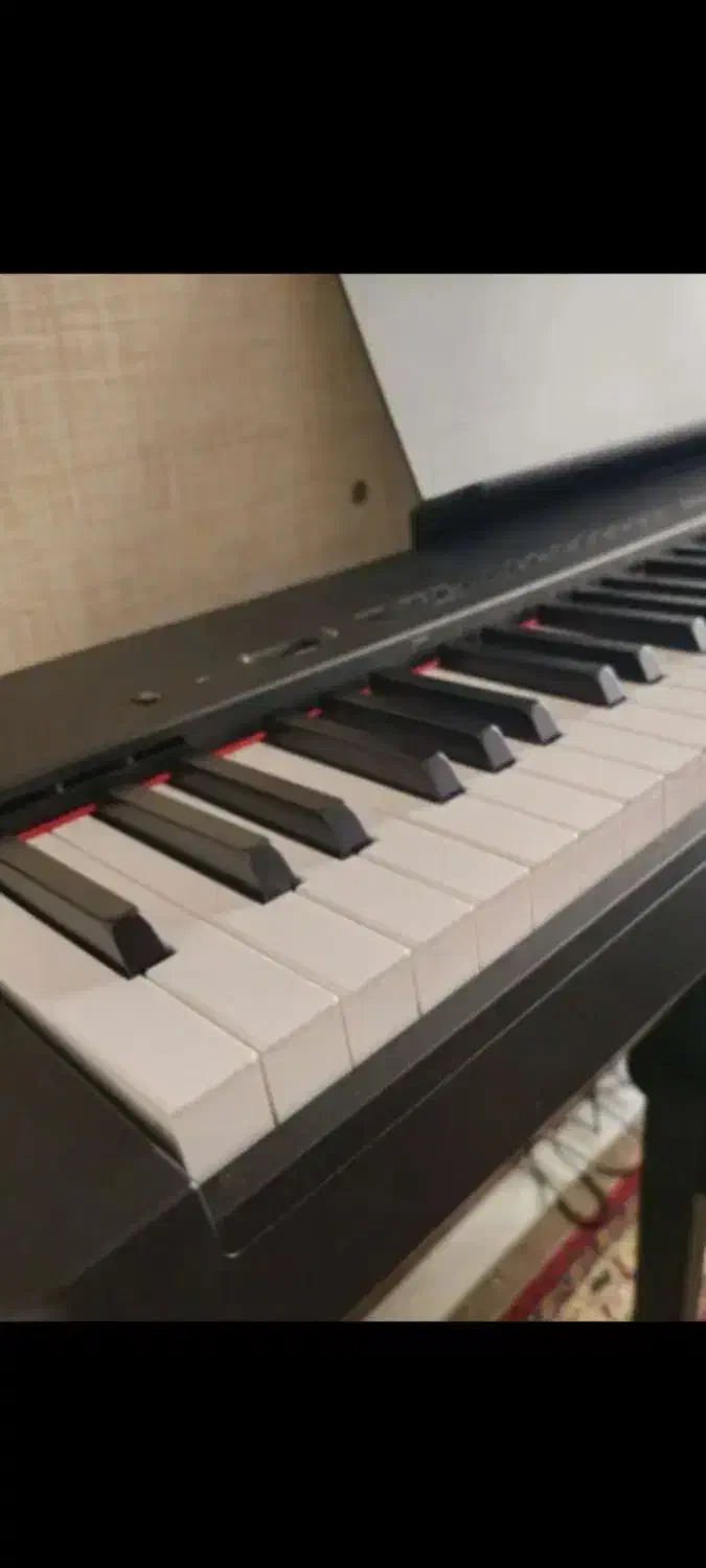 پیانو p225|پیانو، کیبورد، آکاردئون|تهران, میرداماد|دیوار