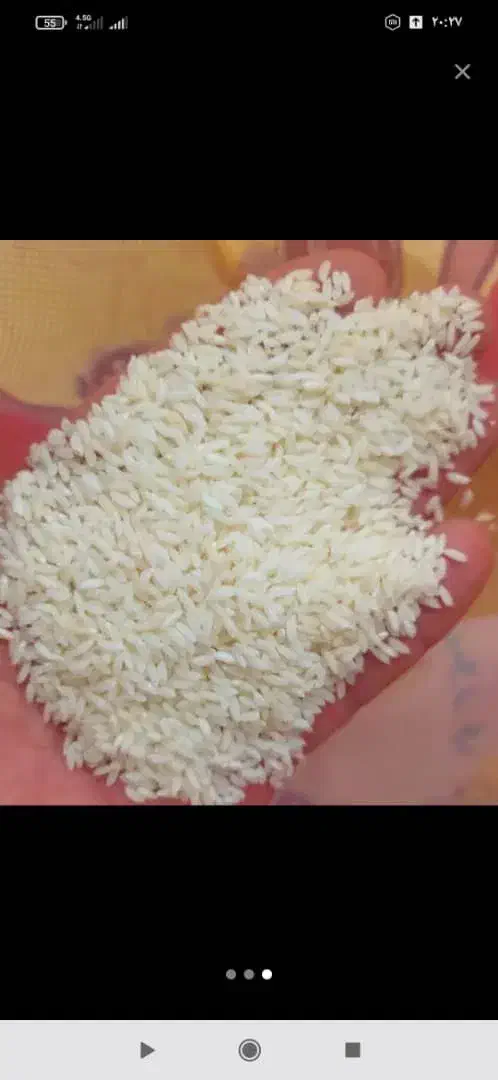 فروش برنج عنبربو و خرمای خوزستان|خوردنی و آشامیدنی|رشت, لاکان شهر|دیوار