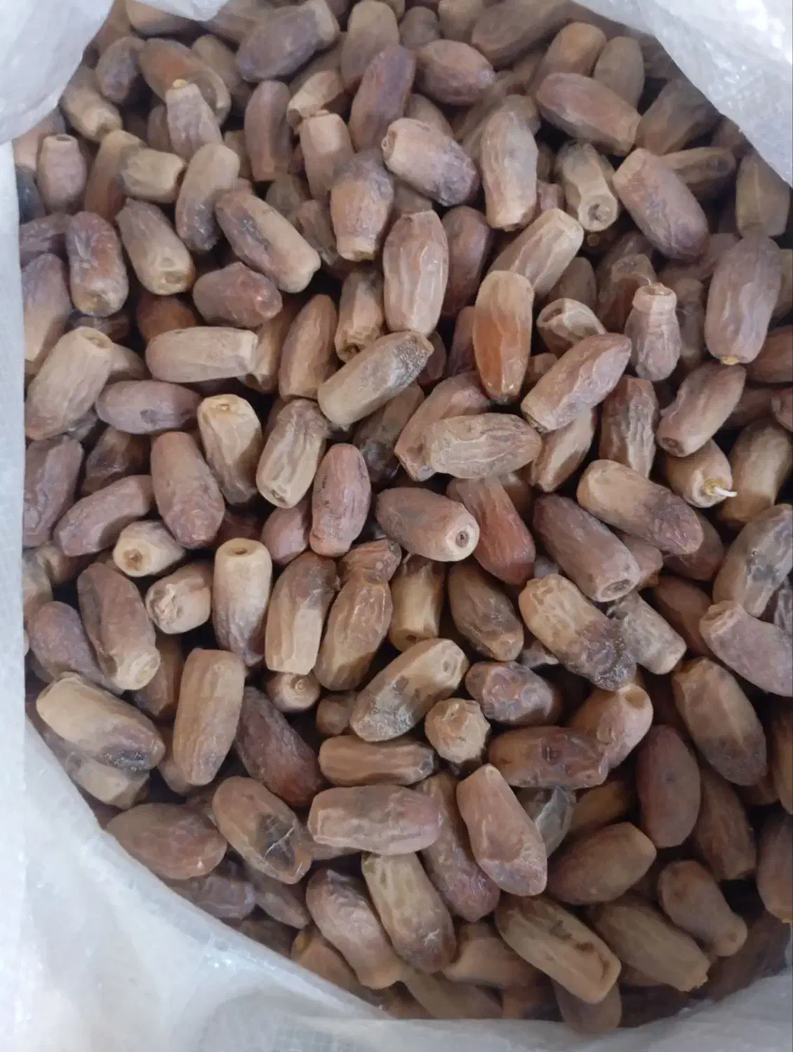 فروش ۱۰۰کیلوخرما قندشکن تروتازه|خوردنی و آشامیدنی|ریگان, |دیوار